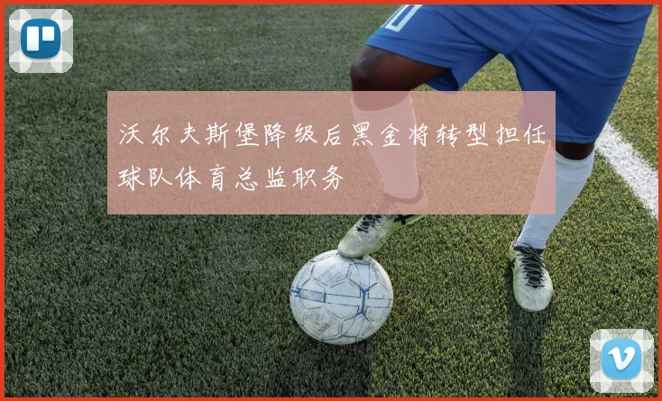 沃尔夫斯堡降级后黑金将转型担任球队体育总监职务